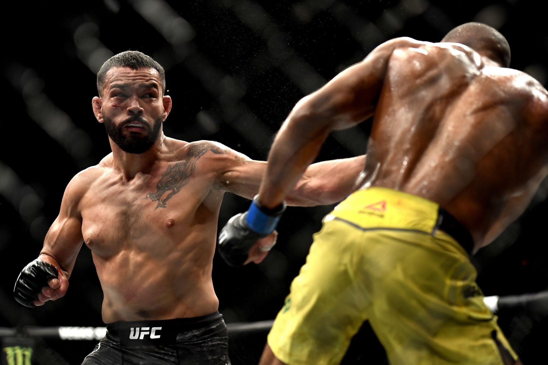 Dan Ige appeared on season 1 of DWCS
